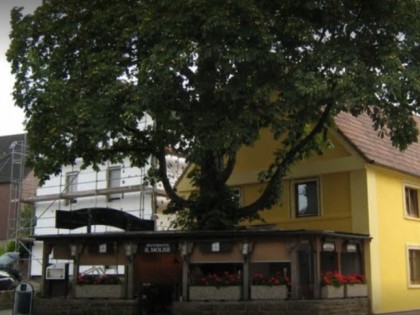 照片: Il Molise